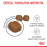 Royal Canin Dental - Суха храна за поддържане на добра устна хигиена и намаляване образуването на зъбен камък при котки